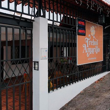 Trebol Amarillo Bed & Breakfast Escazú Kültér fotó
